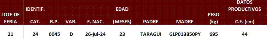 Lote LOTE 21