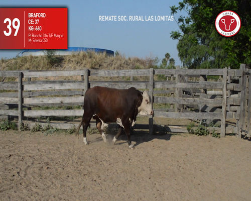 Lote CABAÑA "LA SEVERA" RP39