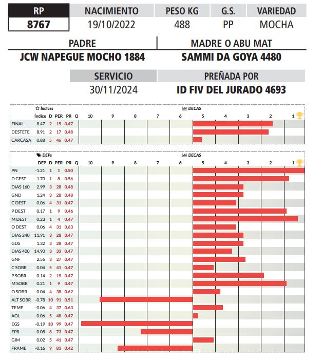 Lote LOTE 3