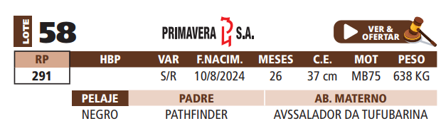 Lote LOTE 58