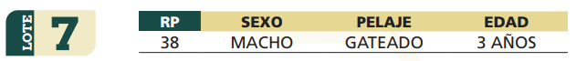 Lote LOTE 7