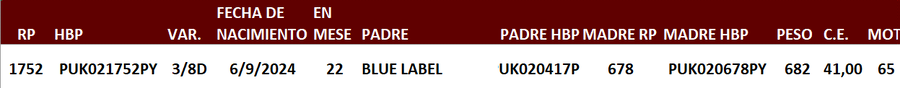 Lote LOTE 2