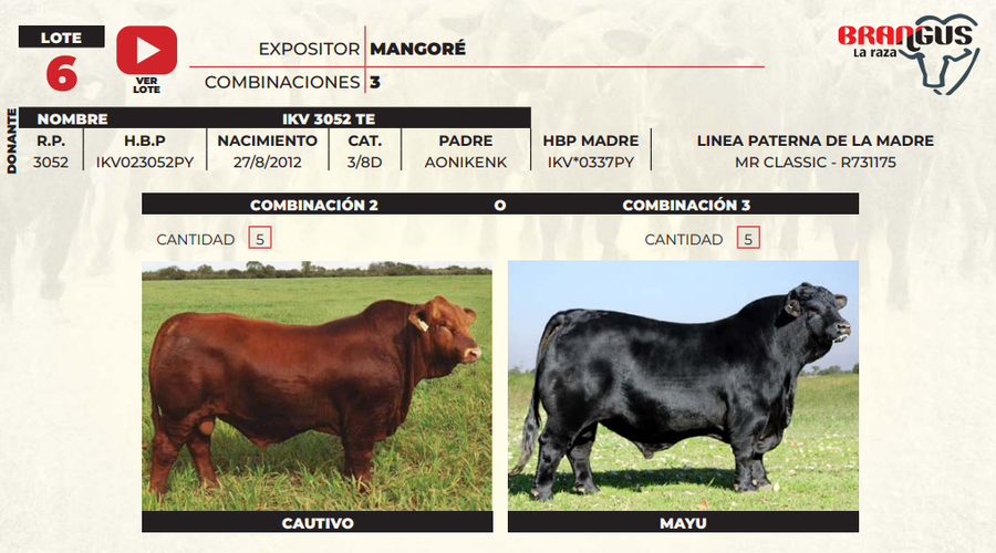 Lote LOTE 6