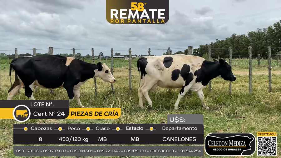 Lote 8 Piezas de cría en Progreso, Canelones