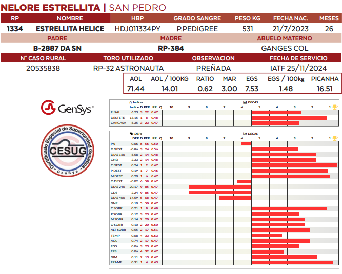 Lote LOTE 32