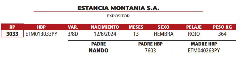 Lote LOTE 33