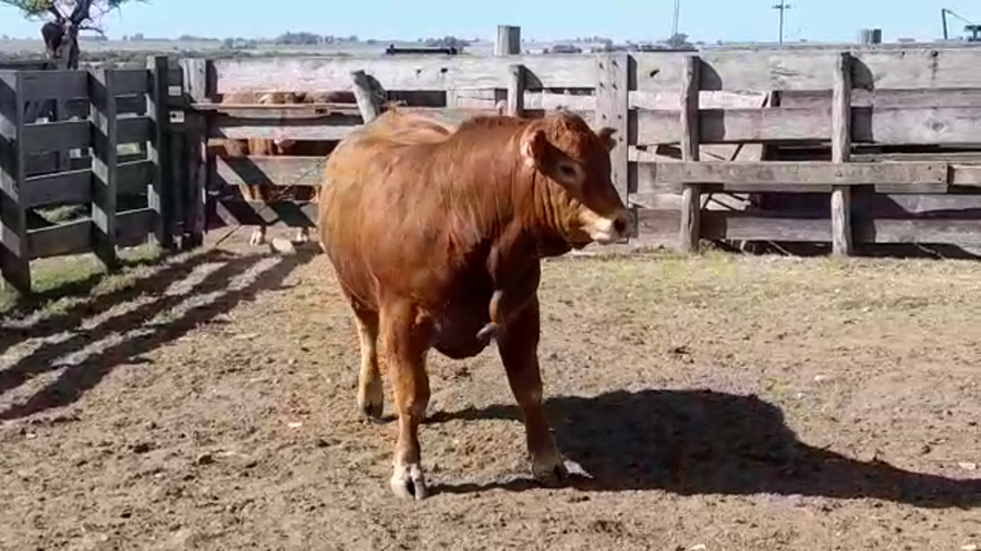 Lote LA ESPERANZA 68