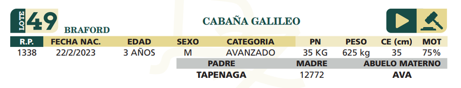 Lote LOTE 49