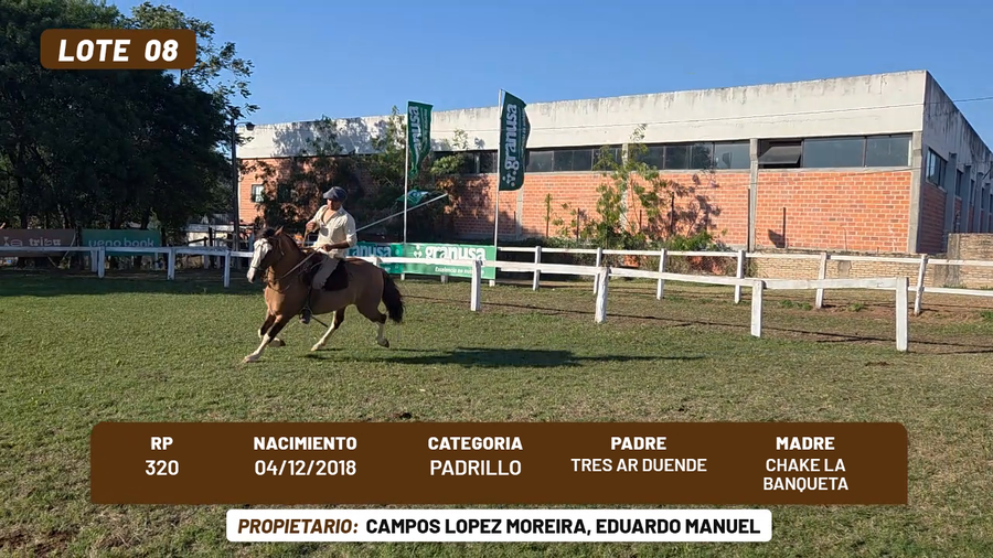 Lote LOTE 8