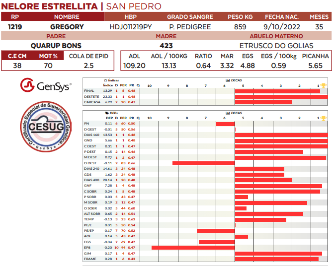 Lote LOTE 49