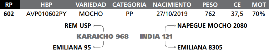 Lote LOTE 69  RP 602