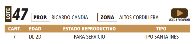 Lote LOTE 47 -POR PANTALLA
