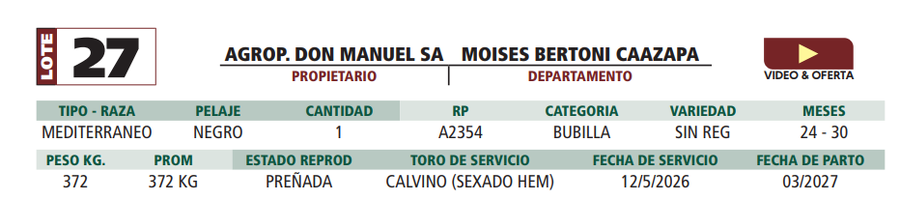 Lote LOTE 27