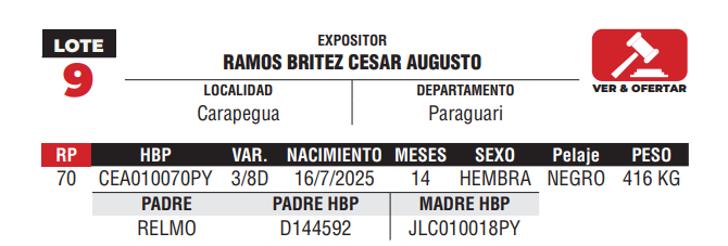 Lote LOTE 9 -JUNIOR