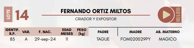 Lote LOTE 14 TERNERAS DE CORRAL