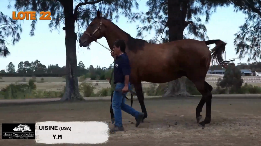 Lote NOUVELLE CUISINE (USA)