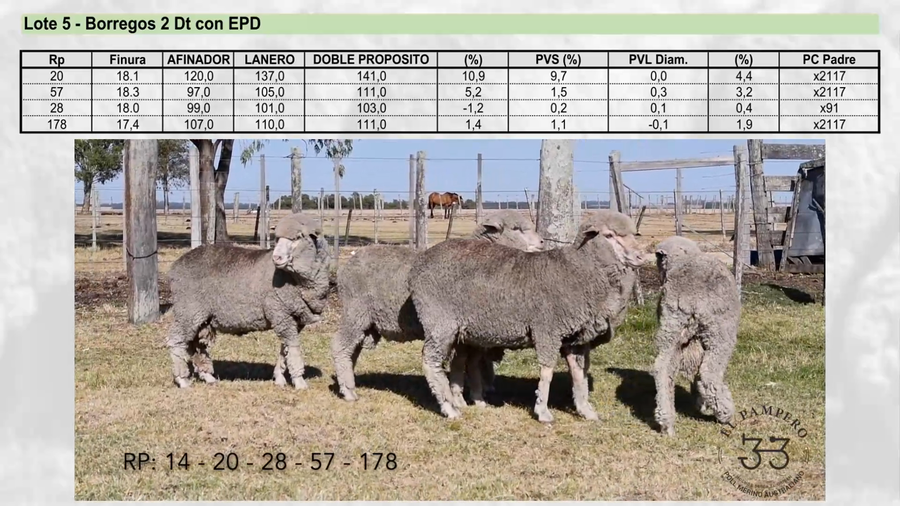 Lote Lote 5 - EL PAMPERO