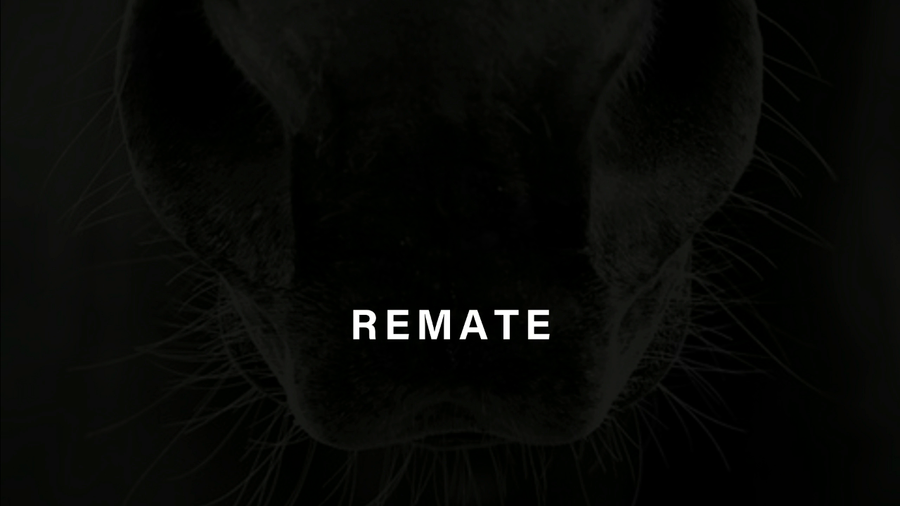 Lote HOP ON (ENDORSEMENT - FIRST HOPE)