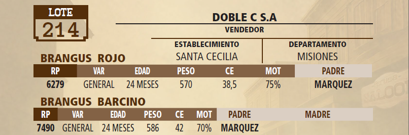 Lote LOTE 214 - VIVO