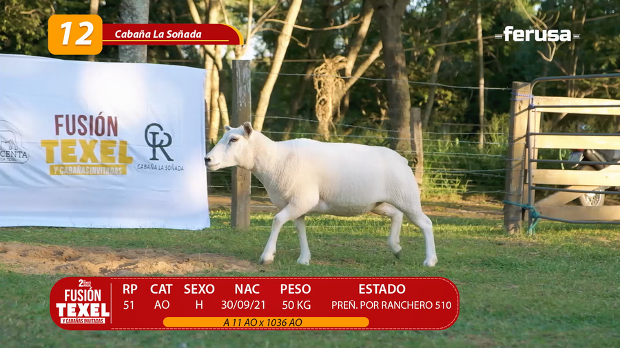 Lote LOTE 12