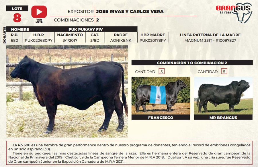 Lote LOTE 8