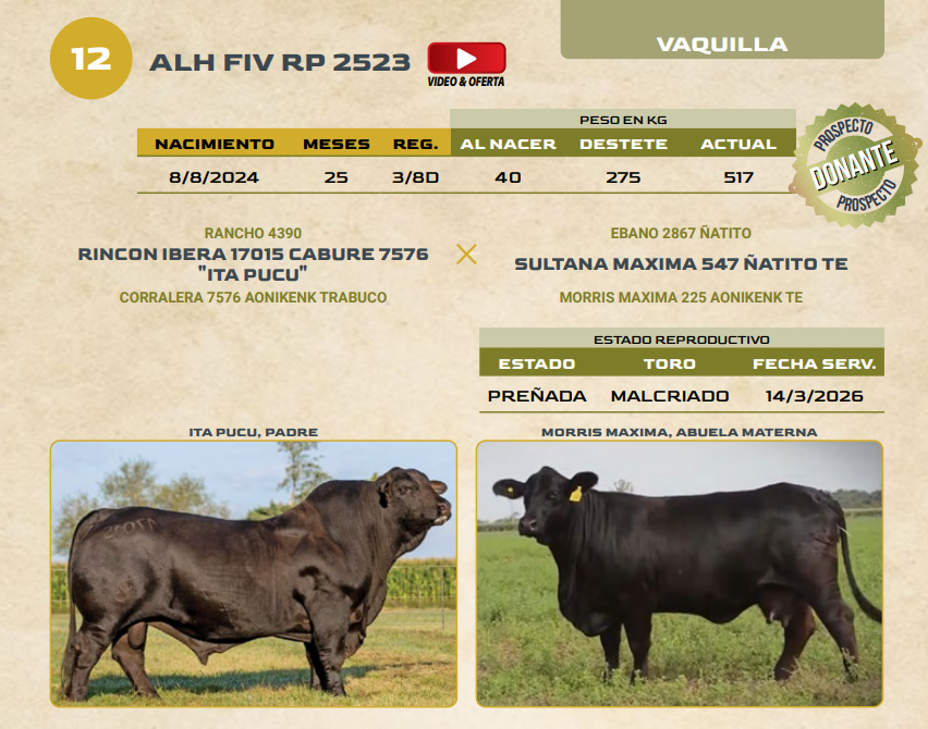 Lote LOTE 12