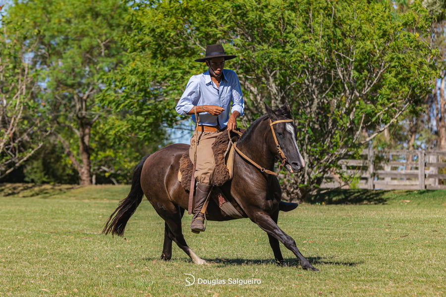 Lote KERENDONA DE LA COLINA