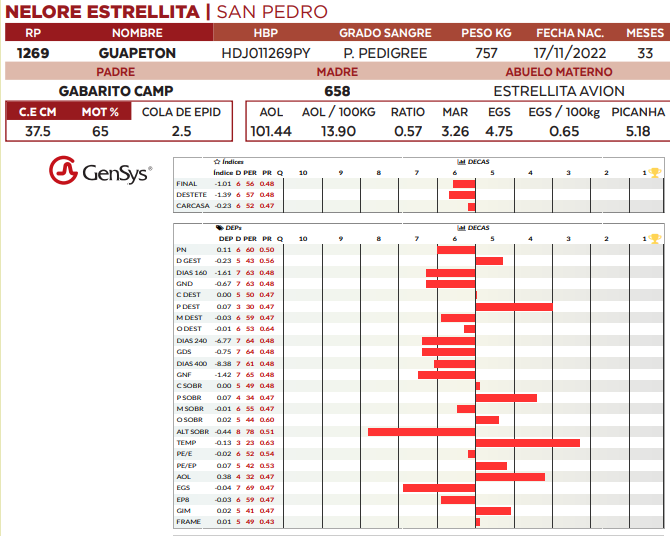 Lote LOTE 69
