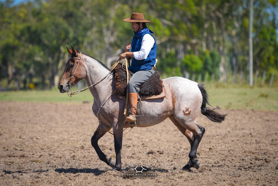Lote RP 144 - Ganancia