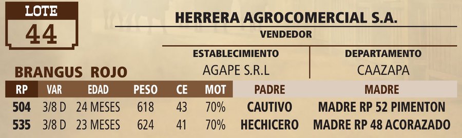 Lote LOTE 44 - VIVO