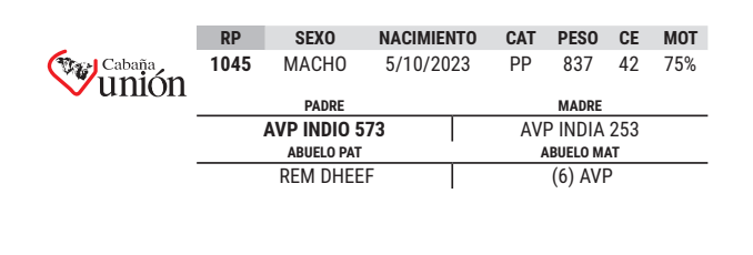 Lote LOTE 35