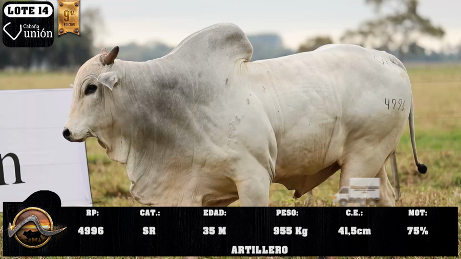 Lote LOTE 14