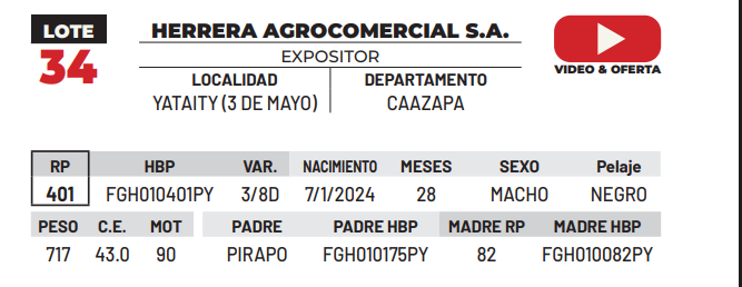 Lote LOTE 34 -DE CAMPO