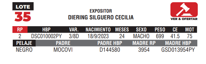 Lote LOTE 35 - CAMPO