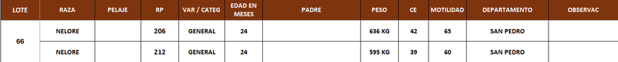 Lote LOTE 66