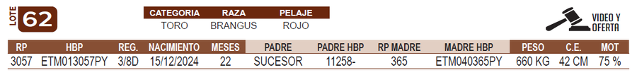 Lote LOTE 62