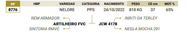 Lote LOTE 68