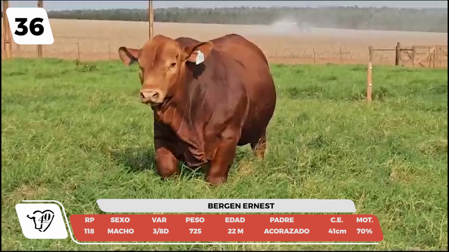 Lote LOTE 36-DE CAMPO