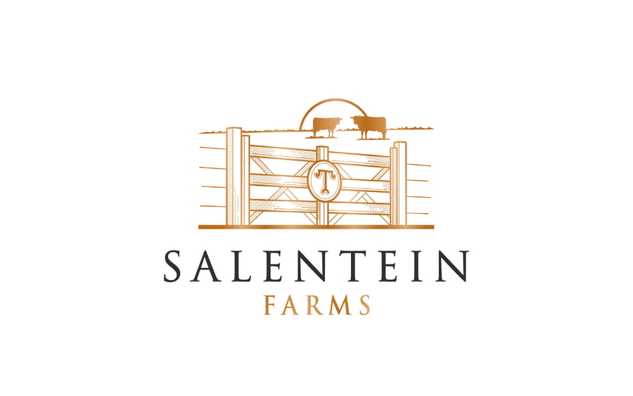 Lote LOTE 28/29 - VAQUILLAS BRAFORD PLANTELERAS SEÑAL ´18 PREÑADAS IATF