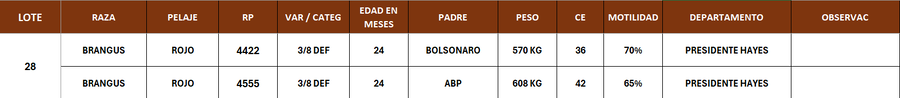 Lote LOTE 28- POR PANTALLA