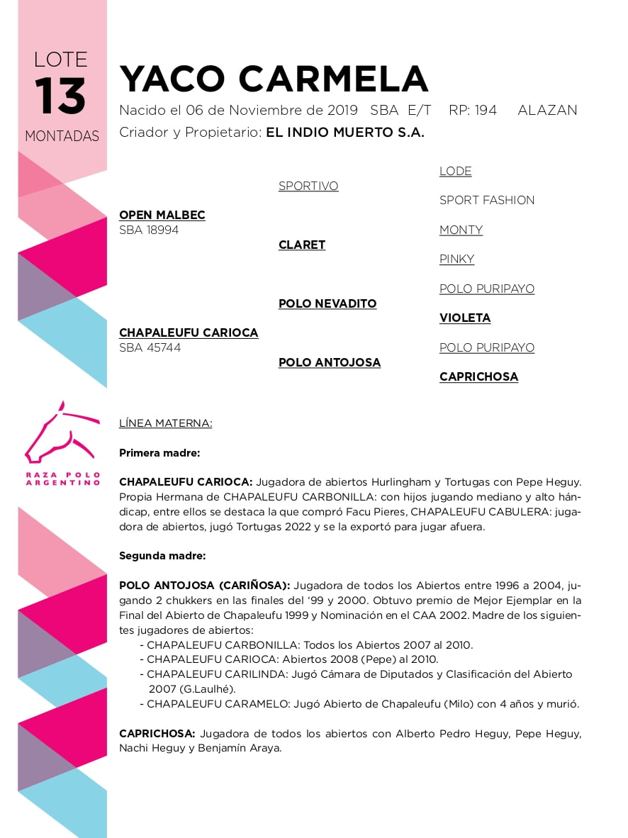 Lote YACO CARMELA (OPEN MALBEC - CHAPALEUFU CARIOCA)