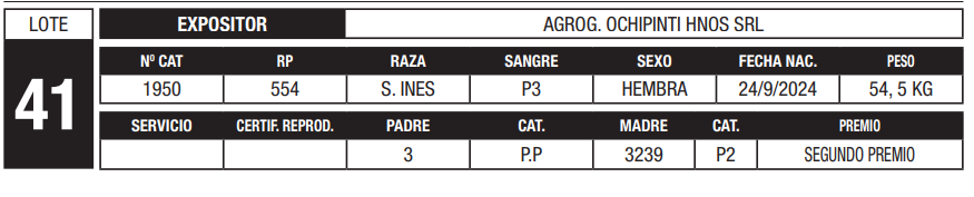 Lote LOTE 41