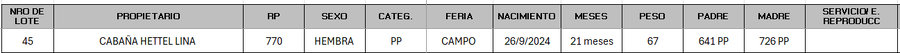 Lote LOTE 45 - CAMPO