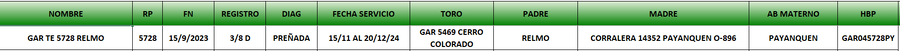 Lote LOTE 1