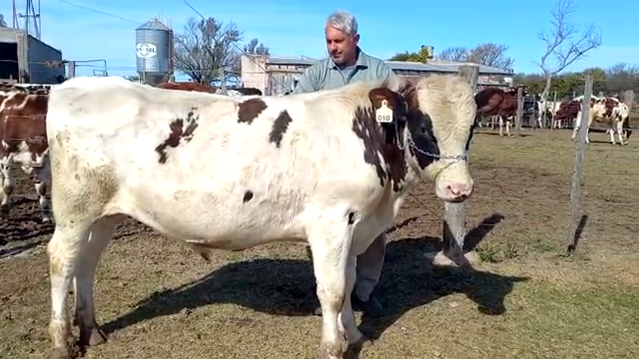 Lote Suc. de Santiago Vaschetto