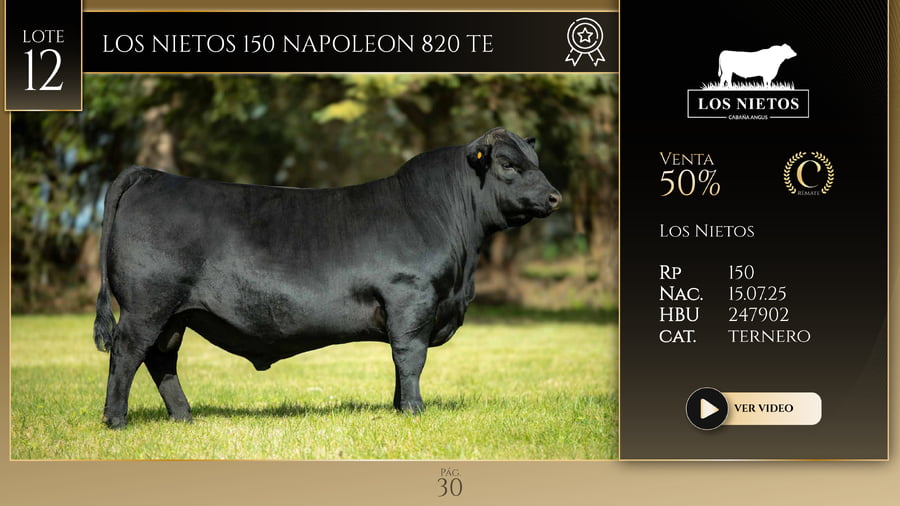 Lote LOS NIETOS 150 NAPOLEON 820 TE