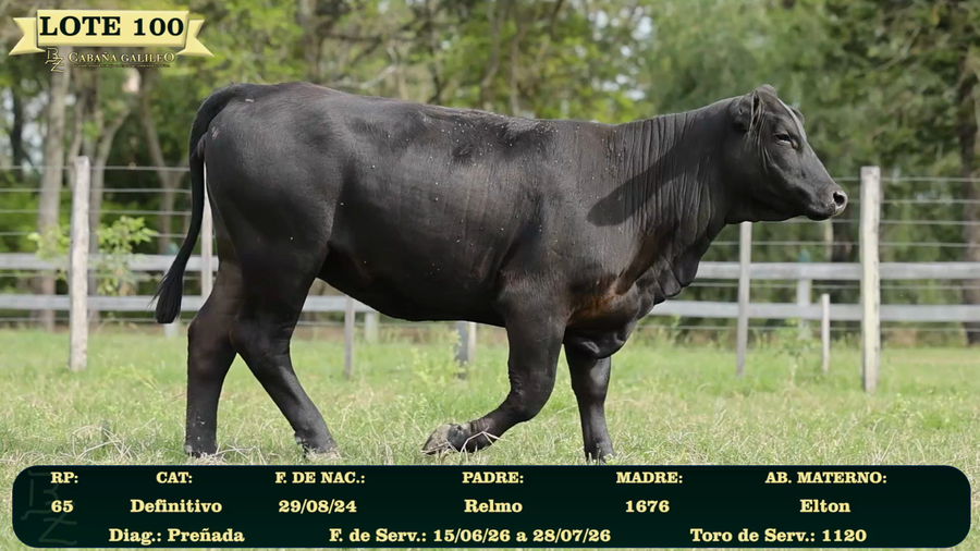 Lote LOTE 100