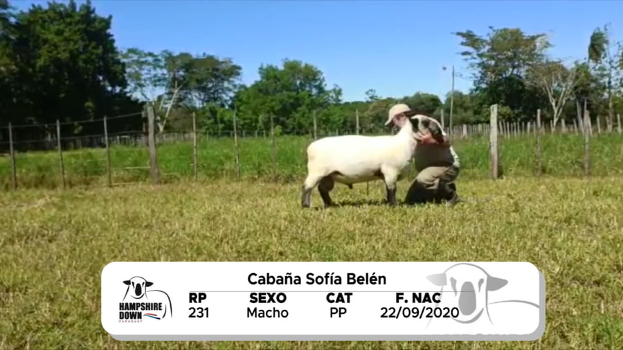 Lote LOTE 15 BOZAL - RP 231