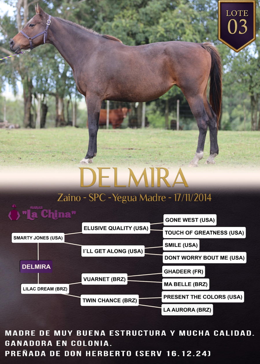 Lote DELMIRA