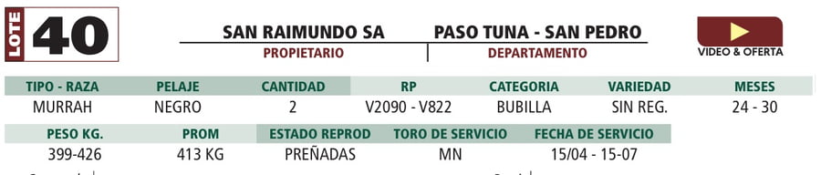 Lote LOTE 40